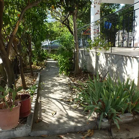 Kosta's House